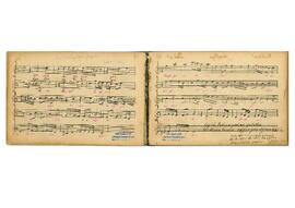 Sultaniyegah Şarkı