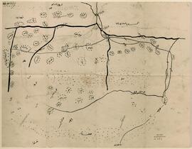 Veysel Pasha Records