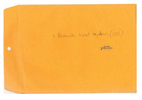 Open original Digital object