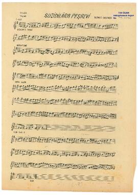 Suz-i Dilara Saz Eseri