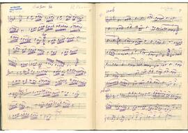 Sultaniyegah Saz Eseri