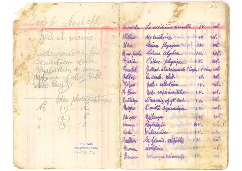 Open original Digital object