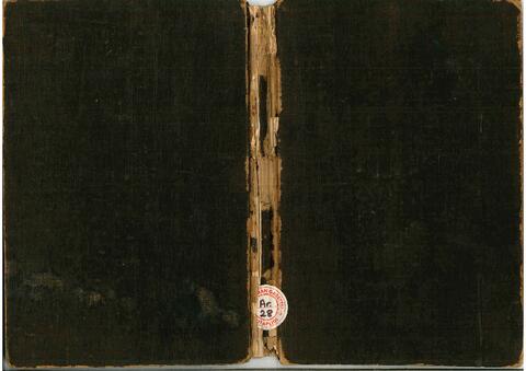 Open original Digital object