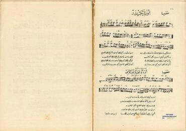 Open original Digital object