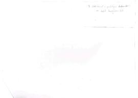 II. Abdülhamid ve taht kavgaları