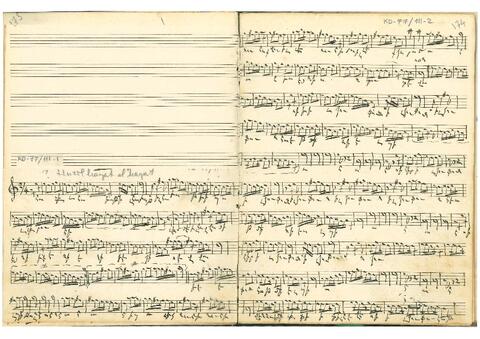 Open original Dijital obje